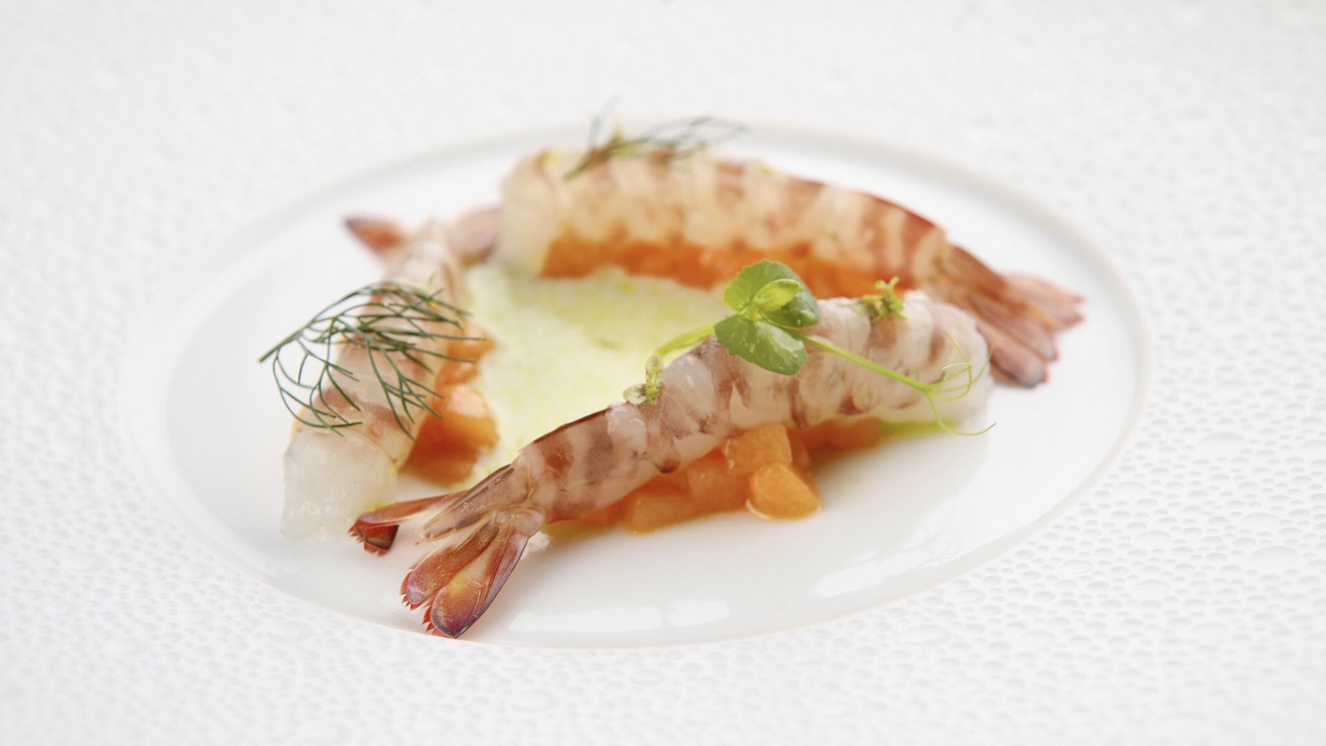 La Porta Restaurant in Bologna - Restaurant Reviews, Menu and Prices |  TheFork, image size:1920x1080