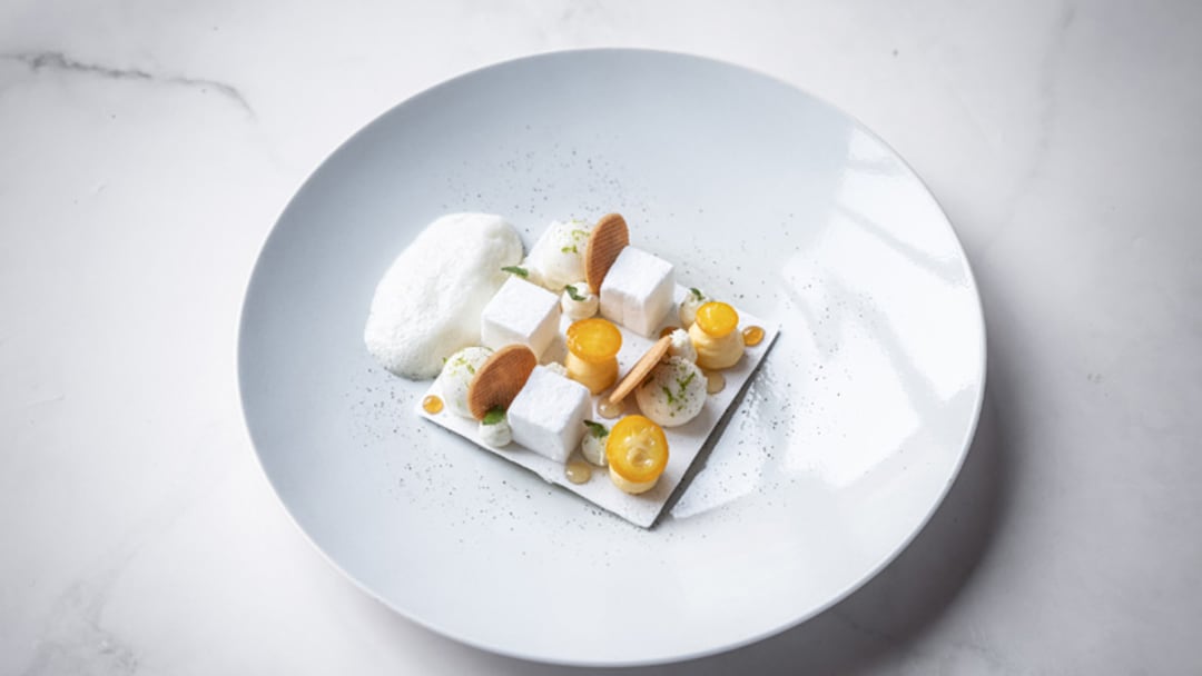 洋書 Lameloise : Une maison en Bourgogne 洋書 Lameloise : Une