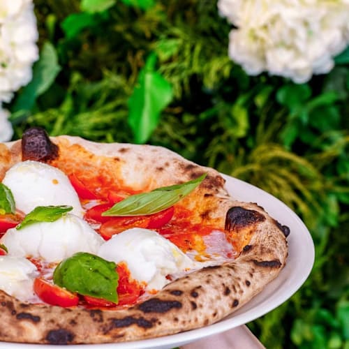 Nocino Pizzeria, Lancy