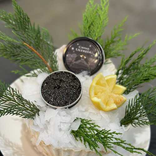 Criée 92, Montrouge