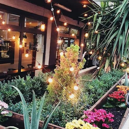 Monte Street Bistro, Roma