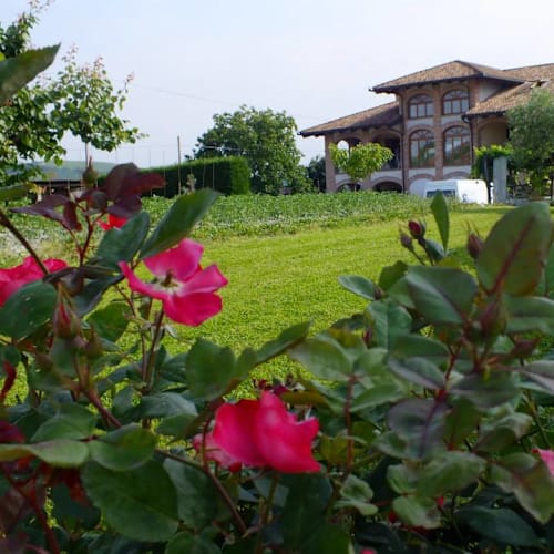 Enolocanda del Tufo, Gombe
