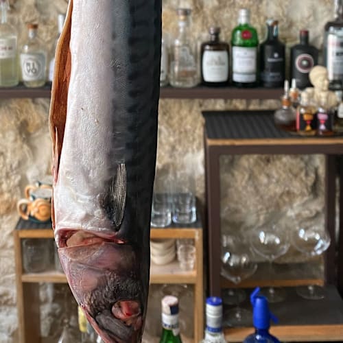 Crudo Ristorante | Lounge bar, Siracusa