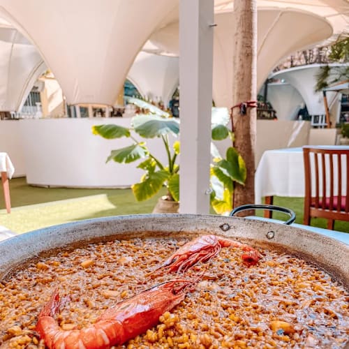 Lino Gastronomic, Castelló de la Plana