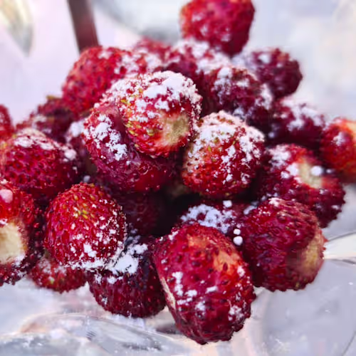 La Grotta Bifronte, Nemi