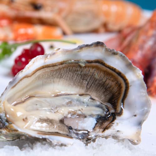 Cibò Sapori d'Italia Cefalù, Cefalù