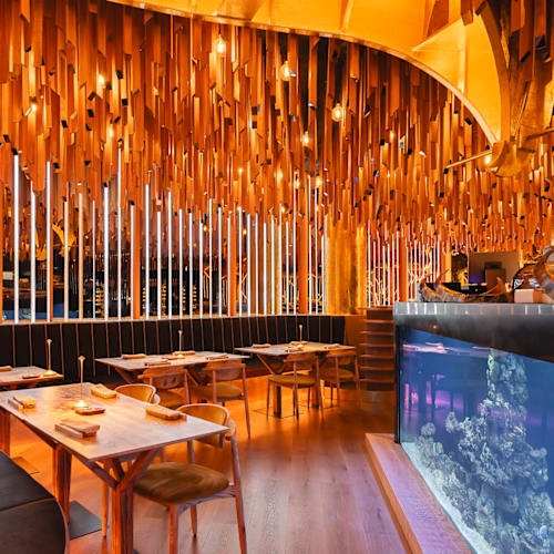 Subenshi Lisboa, Lisboa