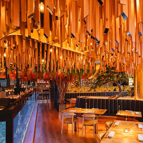 Subenshi Lisboa, Lisboa