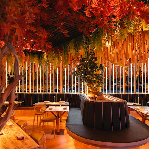 Subenshi Lisboa, Lisboa