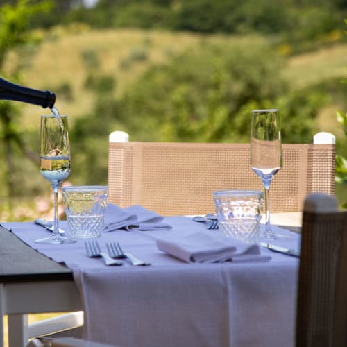 La Fornace de' Medici, Viliani