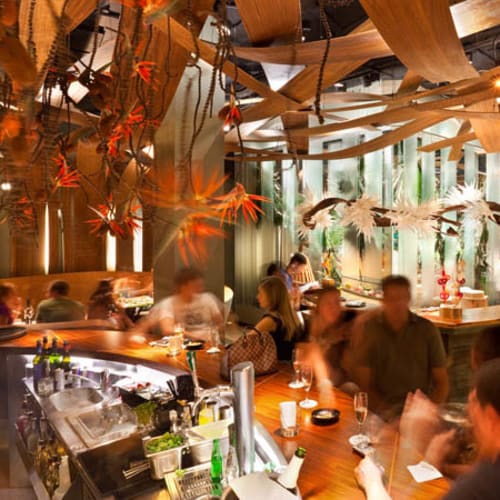 Ikibana Paral·lel, Barcelona