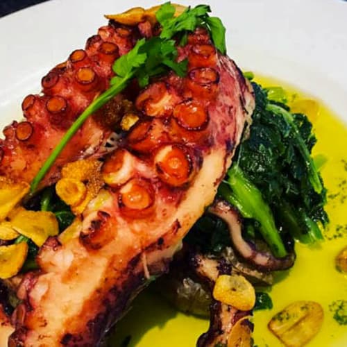 Dom Petisco Lisboa , Lisboa