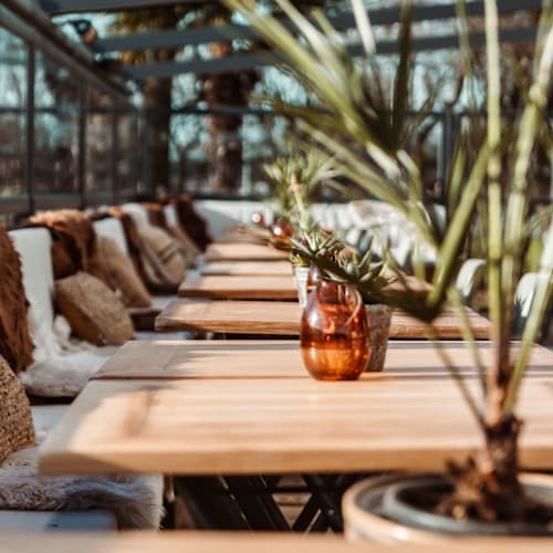 Wet 'n Wild The Social Club, Alphen aan den Rijn