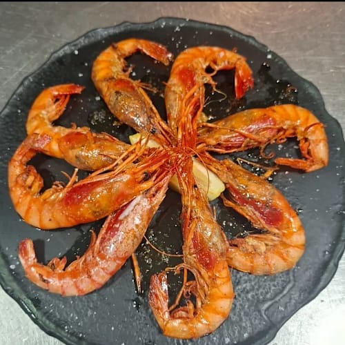 El mirador de Palamós, Palamós