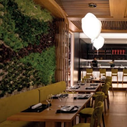 Manga Restaurant, Alessandro