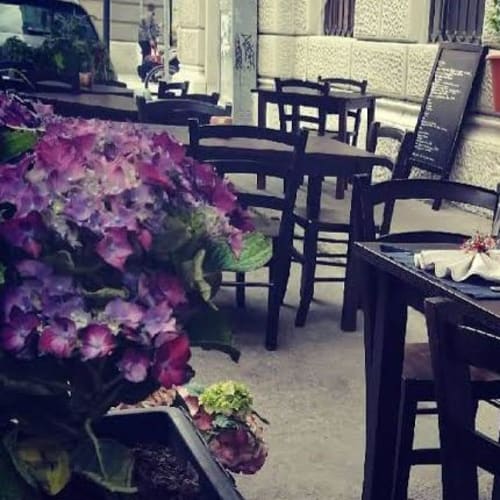 Salsapariglia, Trieste