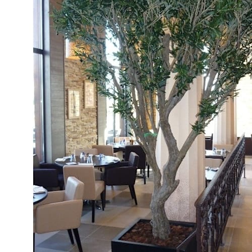 Il Ristorante Thillois, Thillois