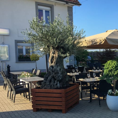 Le clos des sens, Schlierbach
