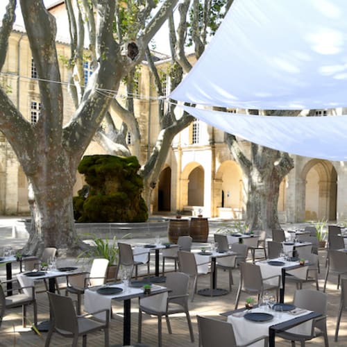 Les cocottes Saint Louis, Avignon