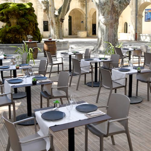 Les cocottes Saint Louis, Avignon