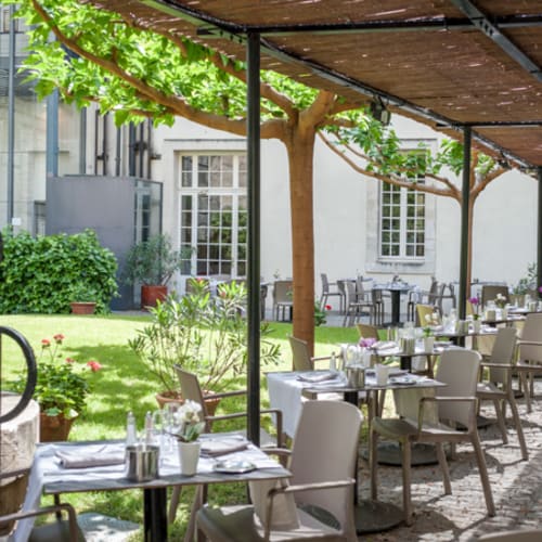 Les cocottes Saint Louis, Avignon