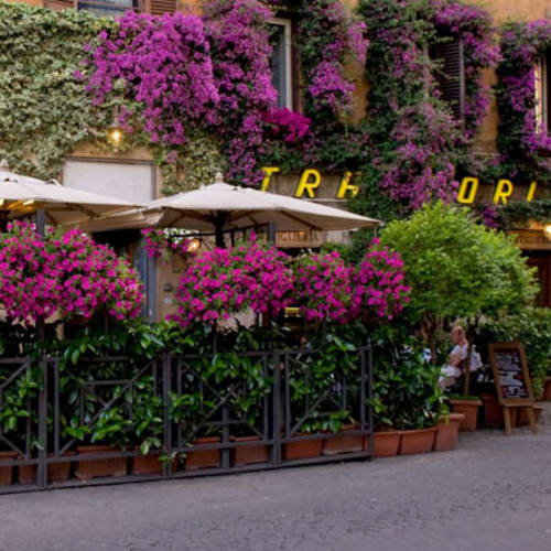 Trattoria Tritone 1884 - Antonio Camponeschi, Roma