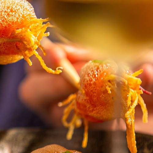 Genoma Sushi, São Domingos de Rana