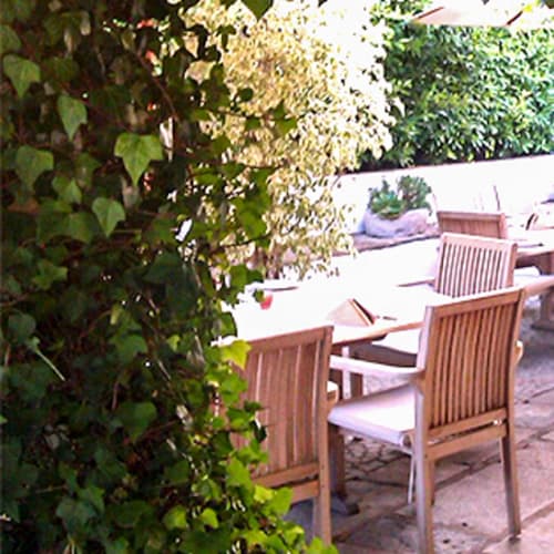 Le Marquis, Faro