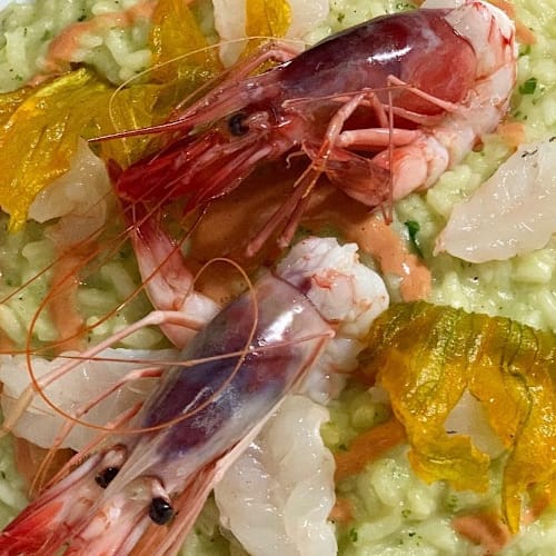 Excalibur, Santa Caterina Dello Ionio Marina