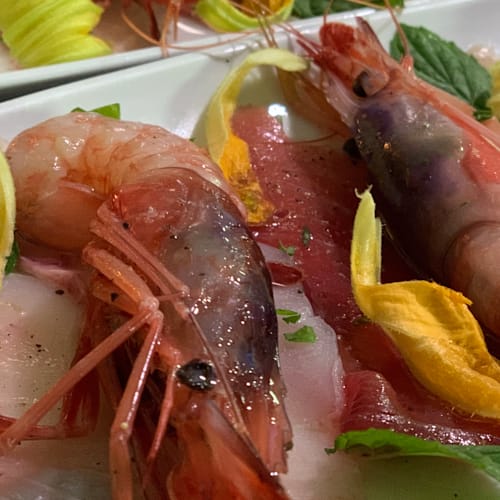 Excalibur, Santa Caterina Dello Ionio Marina