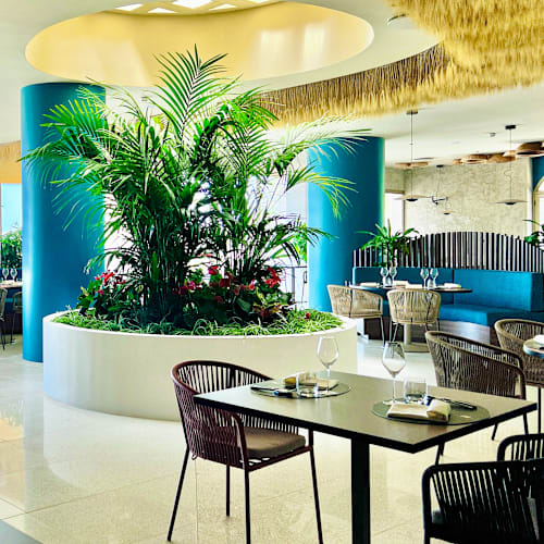 Donna Floriana Sciacca, Sciacca