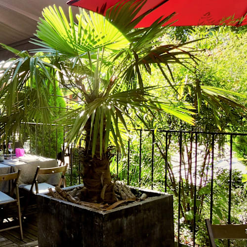 La Cipale, Charenton-le-Pont