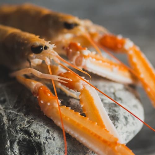 Stone Restaurant Lounge Place, Livorno