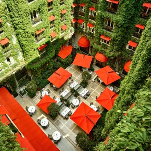 La Cour Jardin – Hôtel Plaza Athénée, Paris