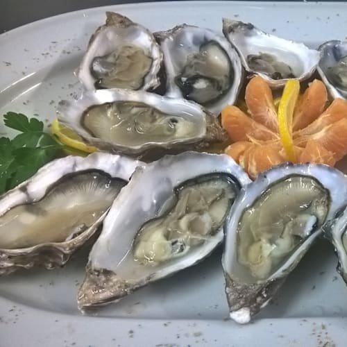 Il Pescegatto, Vado Ligure