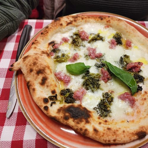 Mo-Viola, Firenze