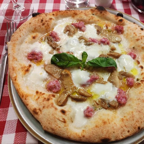 Mo-Viola, Firenze
