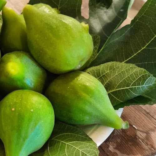 Trattoria Corte Rondine, Presicce-Acquarica