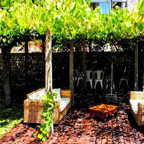 Vigna del Borgo, Acquasparta