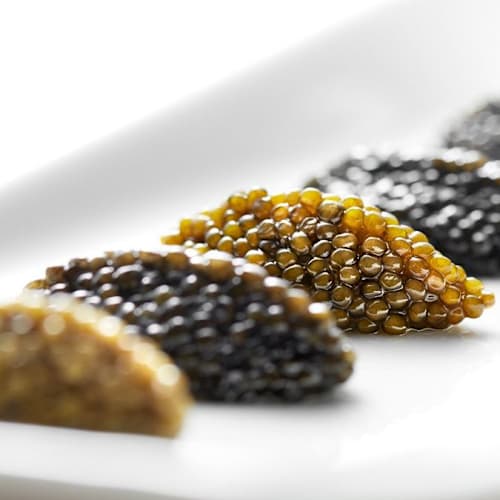 Planet Caviar, Genève