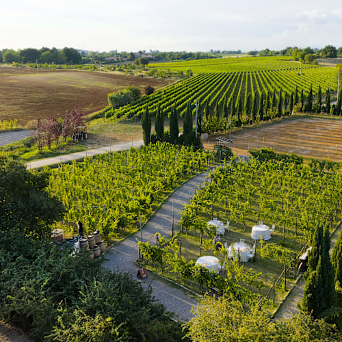 Poggio ai Laghi, Monteriggioni