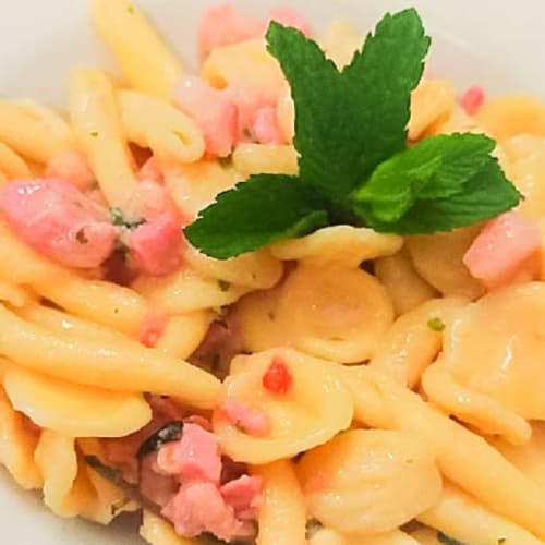 Trattoria Vinha', Matino
