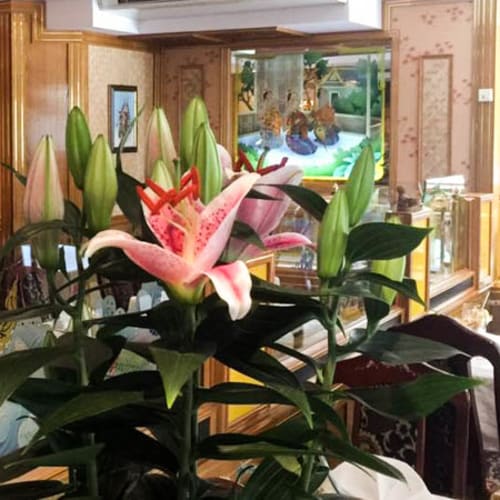 Rayavadee Royal Thai Cuisine, Stockholm