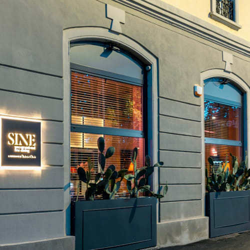 Sine by Di Pinto, Milano