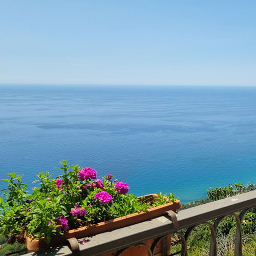 Agriturismo Principe di Vallescura, Pisciotta