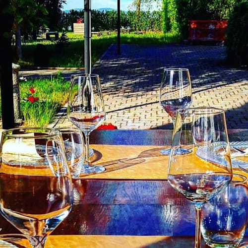 AGRIO', Castiglione Del Lago