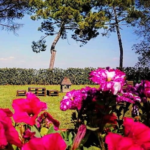 AGRIO', Castiglione Del Lago