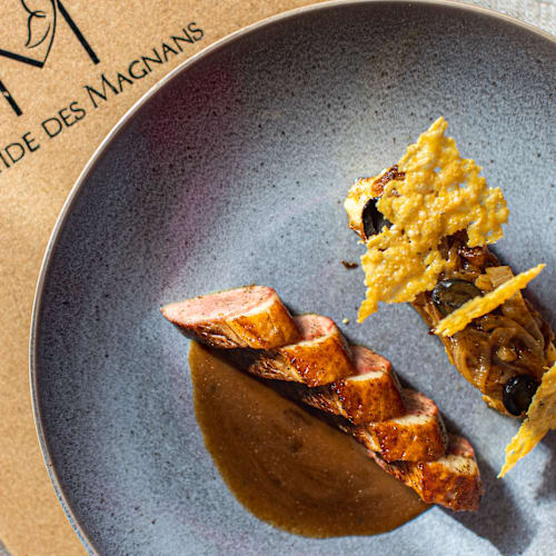 La Bastide des Magnans, Vidauban