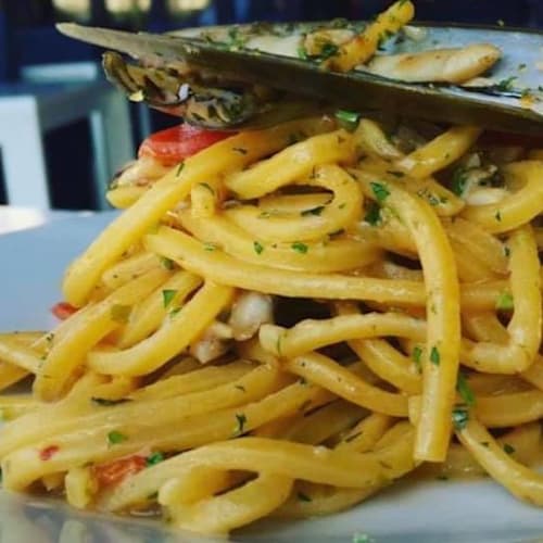 IL Delfino Tellaro, Lerici