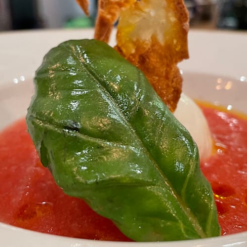 Tonico Café, Roma
